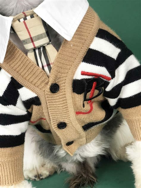 designer dog clothes burberry